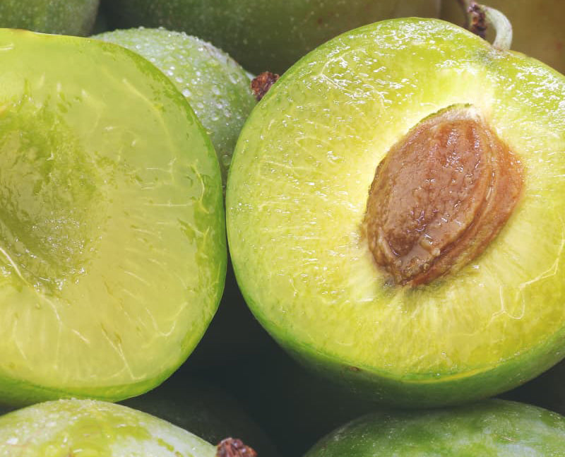 Benefits of Kakadu Plum for your skin | FEAT BY YOU Australia